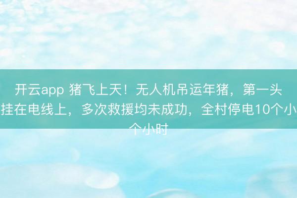 开云app 猪飞上天!无人机吊运年猪,第一头就挂在电线上,多次救援均未成功,全村停电10个小时