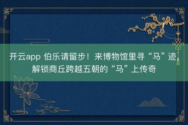 开云app 伯乐请留步！来博物馆里寻 “马” 迹，解锁商丘跨越五朝的 “马” 上传奇