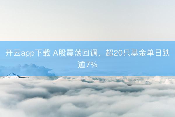 开云app下载 A股震荡回调，超20只基金单日跌逾7%