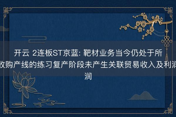 开云 2连板ST京蓝: 靶材业务当今仍处于所收购产线的练习复产阶段未产生关联贸易收入及利润